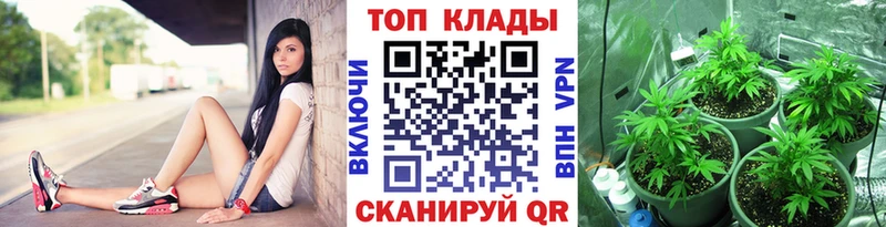 Хочу наркоту Сунжа Каннабис  omg tor  Гашиш  Кокаин  Alpha-PVP 