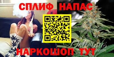 шишки Краснознаменск