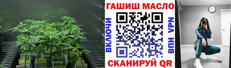 блэк спрут ссылка  Сунжа  ТГК вейп с тгк 