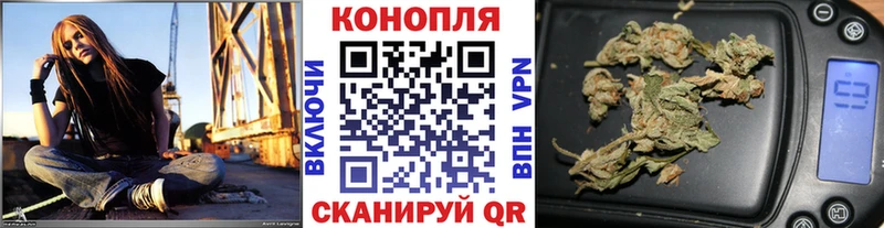 это наркотические препараты  Сунжа  Канабис конопля 
